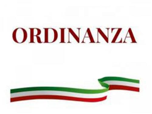 Ordinanza di polizia locale n. 42